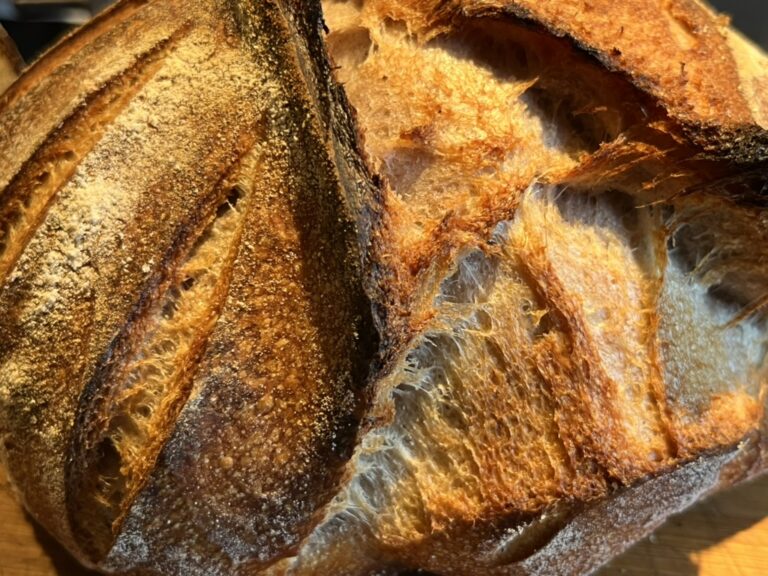 Dutch Oven Crust