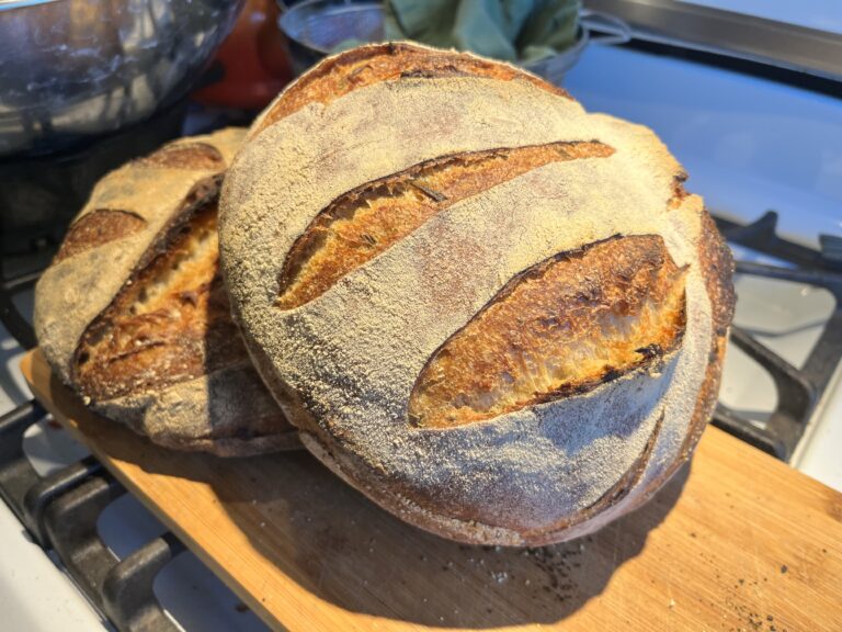 Einkorn and Fairhaven Mills High Extraction Whole Wheat