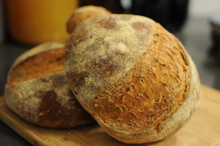 Winter Hard Red Wheat Sourdough