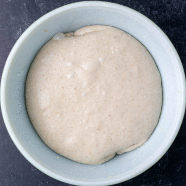 ferment